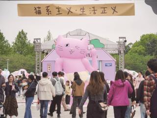 趣游“猫猫节”