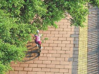 今明两天气温继续攀升 后天冷空气抵厦送爽