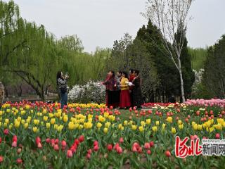 石家庄市新华区：春日经济添活力