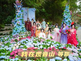 “赏花经济”中的“福山”：东莞观音山把春天玩出了新高度