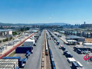 黄金通道效应凸显！中老铁路助力实现“榴莲自由”