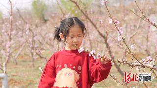 河北迁安：春日繁花引客来 农旅融合促振兴
