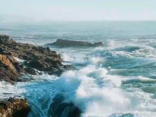 联播+｜潮涌海南 惠及全球