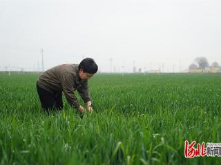 我们的田野｜“不像农民”的她，做火了“无人农场”