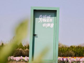 去有花的地方！2026花海里·青岛空港郁金香生活节盛大启幕