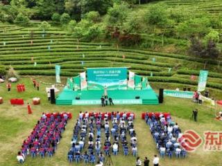 三明泰宁县举办第七届“两岸同心·茶旅共融”采茶交流活动