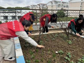 幸福耕读续航 新东苑社区打造洁净共治新场景