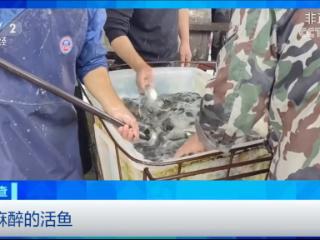 速冻鱼不香？科学打破你的“活鲜偏见”