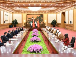 视频丨习近平：打造更加稳固坚韧、富有活力的中阿全面战略伙伴关系