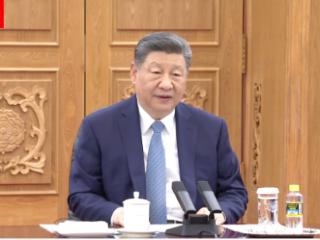 视频丨习近平会见西班牙首相桑切斯：共同捍卫真正的多边主义 守护全球和平与发展