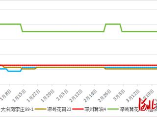 河北省花生创新团队产业经济岗发布2026年第一季度花生价格走势分析