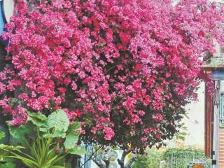 厦门今年入夏较常年偏早20天