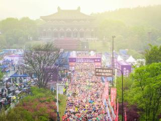 紫蓬山春日跑马，富光三度护航，敬全力奔跑的你