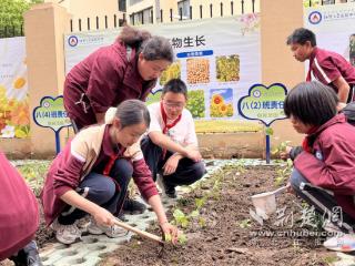 11个班有了责任田 中学生在泥土芬芳中读懂“一粥一饭”
