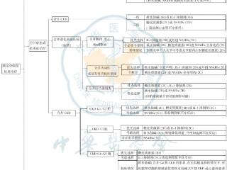 金蓓欣（伏欣奇拜单抗）解析：痛风急性发作与防复发的新选择