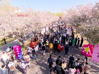 燕京理工学院：国际海棠文化艺术节共赴海棠花漾之约