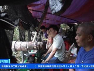 村民变“鸟导” “观鸟经济”催生旅游新业态