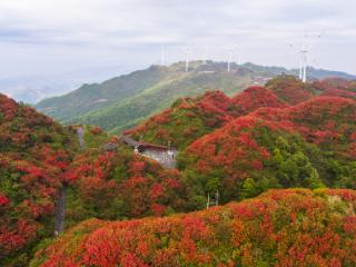 夏季旅居床位，春天就预订一空