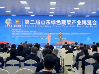 第二届山东绿色蔬菜产业博览会在聊城开幕