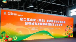 组图 | 第二届山东(莘县)果蔬雕刻冷拼邀请赛上，色香味俱全