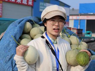 解码“中国蔬菜第一县”：香瓜铺出莘县燕店镇富民兴村路