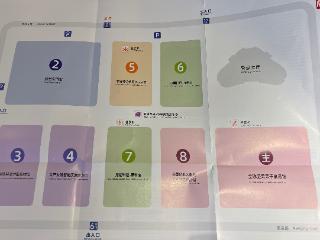第十九届坚果果干食品展览会在合肥开幕 汇聚全球原产地直供资源