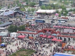 追着花儿看菏泽：春风吹过的地方，不止有花，还有一座城的温柔