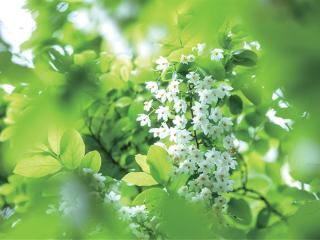 今天雨水逐渐退场 周末好天气限时回归