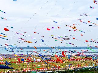 第22届世界风筝锦标赛预赛暨2026潍坊风筝大赛预赛在潍坊滨海开赛