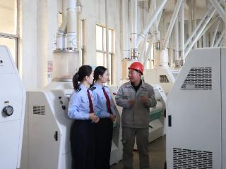 宁阳税务：全程辅导解资金难题 推动粮食加工升级