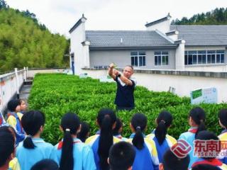 产业强县 | 三明泰宁：富民“金叶子”