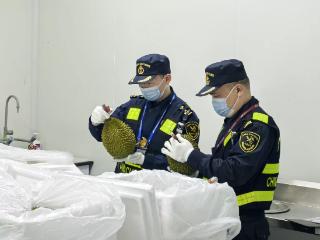 一季度郑州机场国际货运量同比增长21.8%