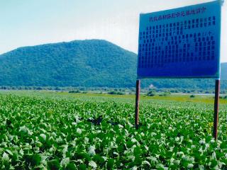 兴业·强县·富民｜从一粒豆到一条链，吉林敦化大豆产业“春意”盎然