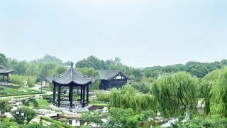 春意渐浓，雅集将启 | 第四届“曲水流觞 琅琊雅集”邀您共赴临沂书圣故里