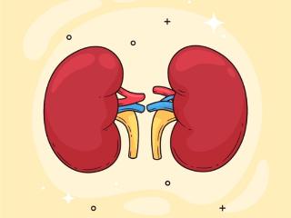 IgA肾病能治愈吗？耐赋康最新成果亮相亚太肾脏病学大会