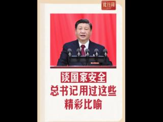 此行间·谈国家安全，总书记用过这些精彩比喻
