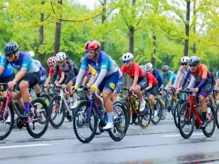 4条特色线路！港区官方骑行地图出炉