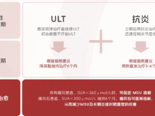 合并肾病/胃病的痛风患者如何长期用药？金蓓欣安全性解析