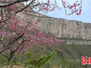美文欣赏丨春到井陉县杨庄村