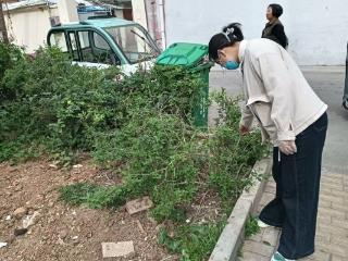 济宁市任城区阜桥街道安阜街社区开展禁种铲毒集中排查行动