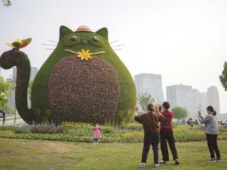 金沙湖来了“绿巨猫”