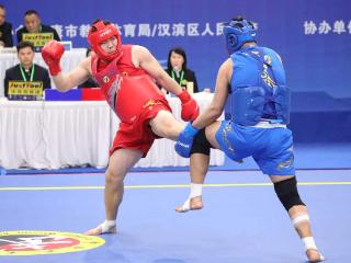 全国武术散打锦标赛（男子赛区）河南获4金3银2铜