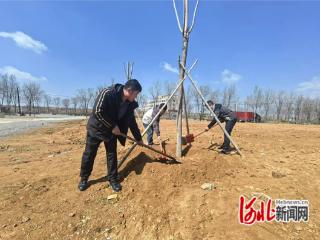 秦皇岛经开区孤家子村：党建聚合力 旧貌换新颜