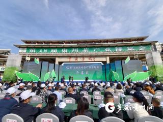 红茶产量与出口均价全国第一！贵州发布“三茶”统筹发展成绩单