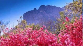 “齐鲁超赛”烟台赛区招远主场比赛文旅政策汇总