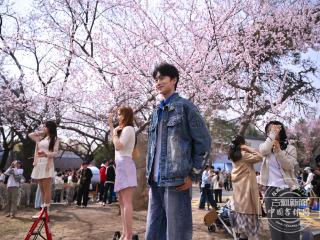 吉镜头｜吉大杏花开了！大家花式打卡留住春天