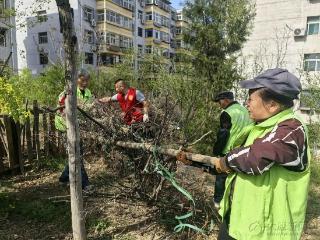 拆掉“小菜园” 环境变清爽