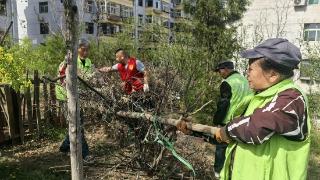 拆掉“小菜园” 环境变清爽
