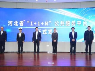 河北省“1+1+N”公共服务平台正式发布