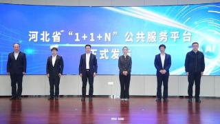 河北省“1+1+N”公共服务平台正式发布